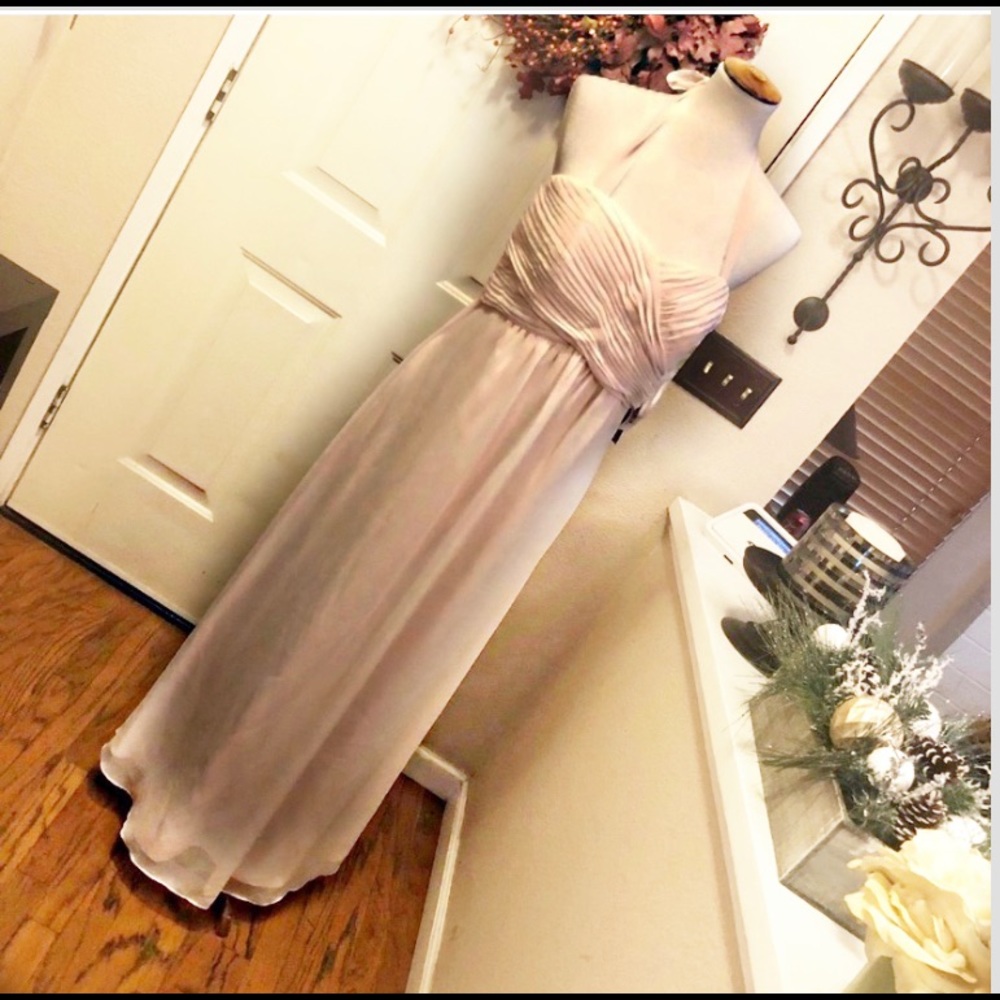 NWT Weddington Way Champagne Toast Chloe Dress